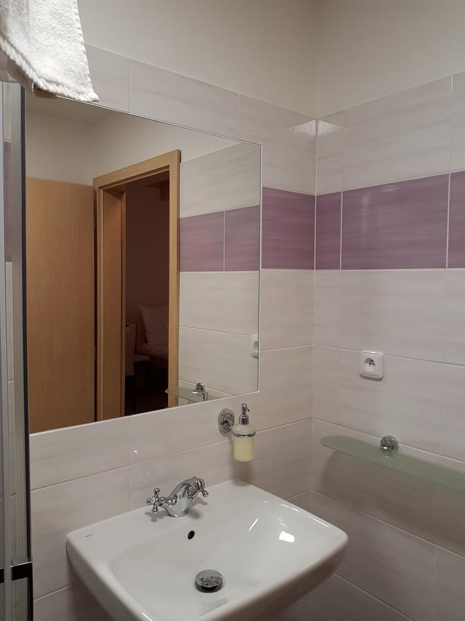 Rodinny Wellness Hotel U Langru Dolni Vestonice Exterior photo